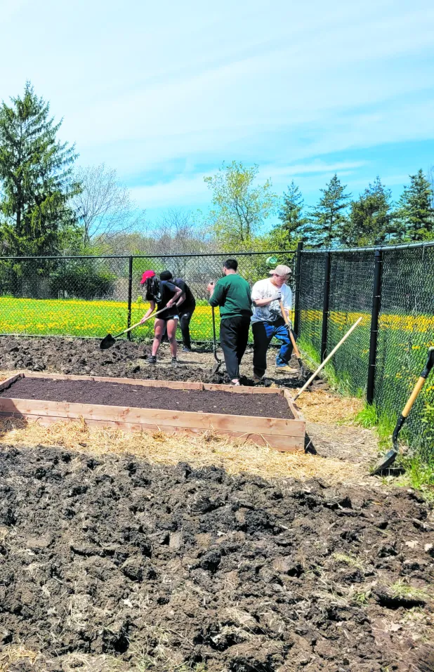 Humberview Secondary School students prepare community garden